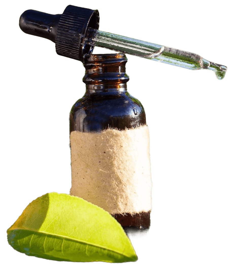 Formation agréée niveau 2