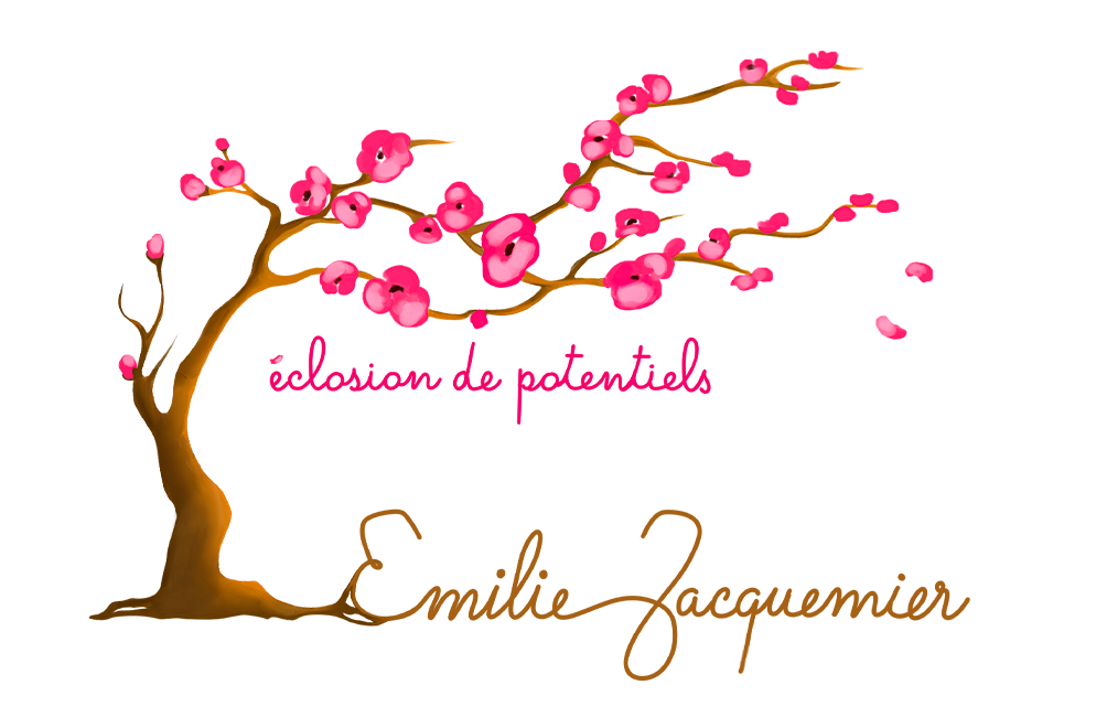 logo Emilie Jacquemier Reiki