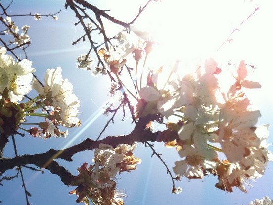 Stage "Ombre et Lumière"