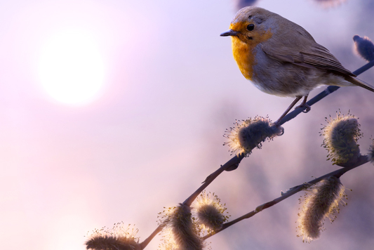 Atelier Pratique de l'entretien SOIREE
